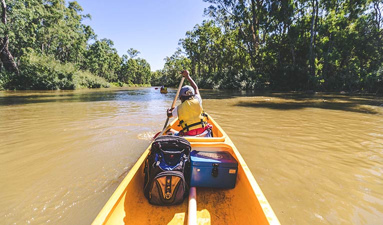 A kayaker paddles along the Murray River, Murray Valley National Park. Photo: B Ferguson/OEH