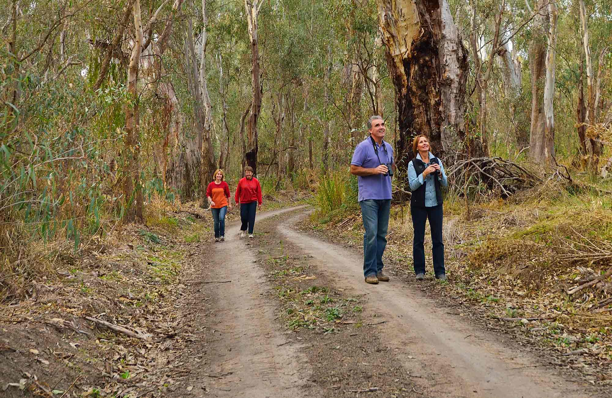 Swifts Creek campground, Murray Valley National Park. Photo: Gavin Hansford