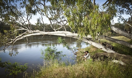 Murray Valley National Park. Photo: David Finnegan &copy; DPIE