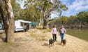 Campers with their dogs at Willoughbys Beach campground near Deniliquin. Photo: Gavin Hansford/DPIE