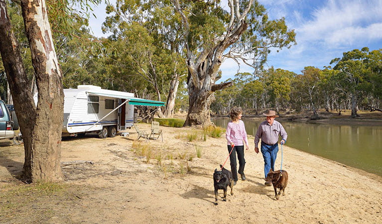 Campers with their dogs at Willoughbys Beach campground near Deniliquin. Photo: Gavin Hansford/DPIE
