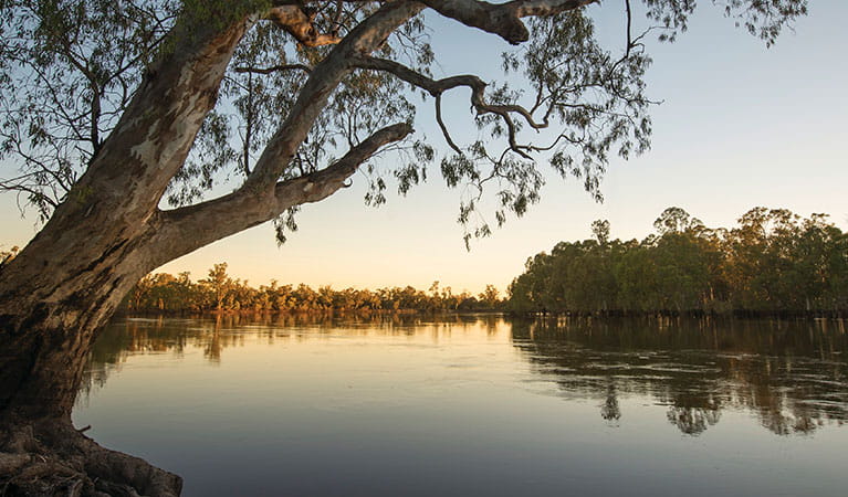 Sunset on the Murray River, Murray Valley National Park. Photo: John Spencer/OEH