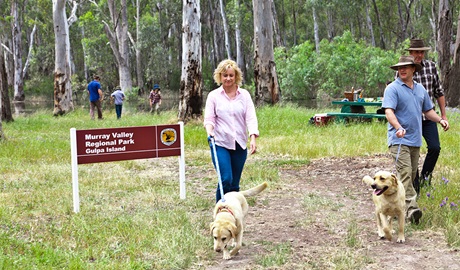 Bushwalkers walking their dogs at Gulpa Island in Murray Valley Regional Park. Photo: David Finnegan &copy; OEH