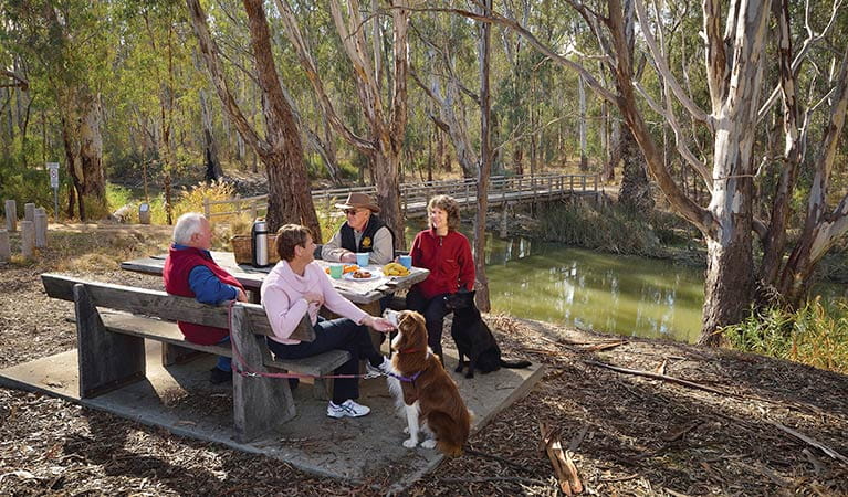 A group picnicking with their dog at Gulpa Creek, Murray Valley Regional Park. Photo credit: Gavin Hansford <HTML>&copy; DPIE