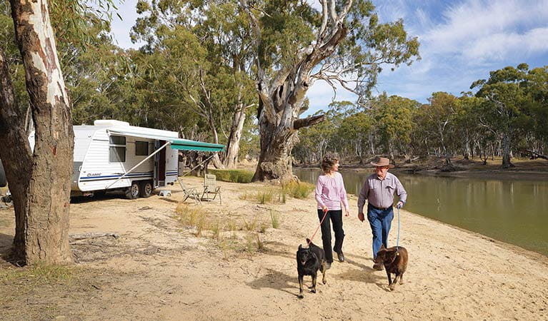 Campers with their dogs on leashes at Willoughbys Beach campground in Murray Valley Regional Park. Photo credit: Gavin Hansford <HTML>&copy; DPIE