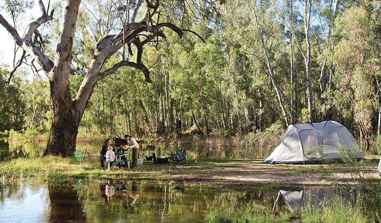 Family camping at Edward River campground in Murray Valley Regional Park. Photo credit: David Finnegan<HTML>&copy; DPIE 