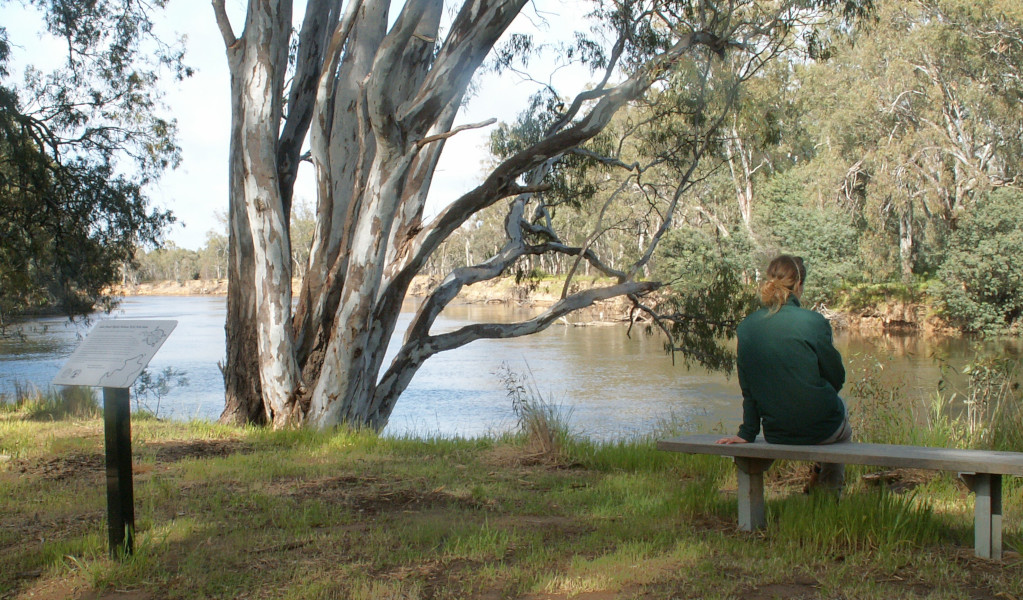 Riverside walk, Murray Valley Regional Park. Photo: Michael Murphy &copy; DPE