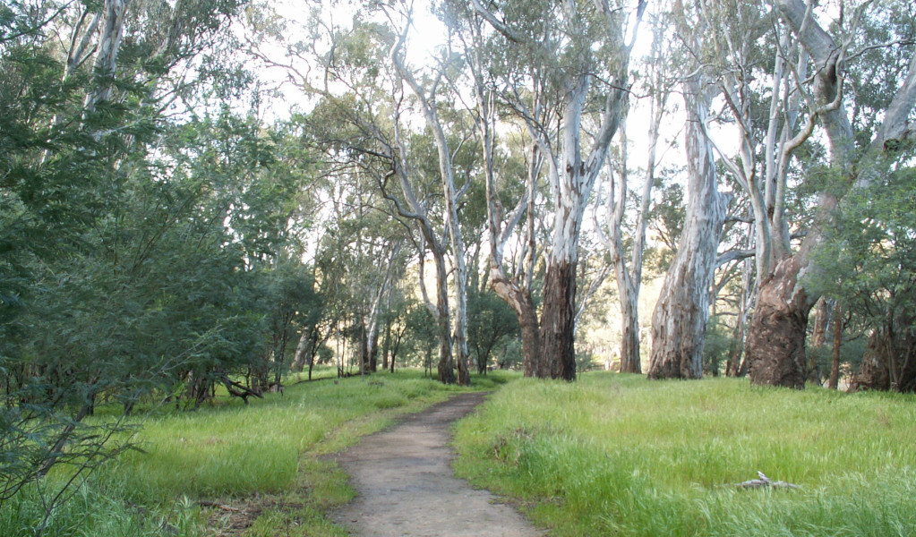 Riverside walk, Murray Valley Regional Park. Photo: Michael Murphy &copy; DPE