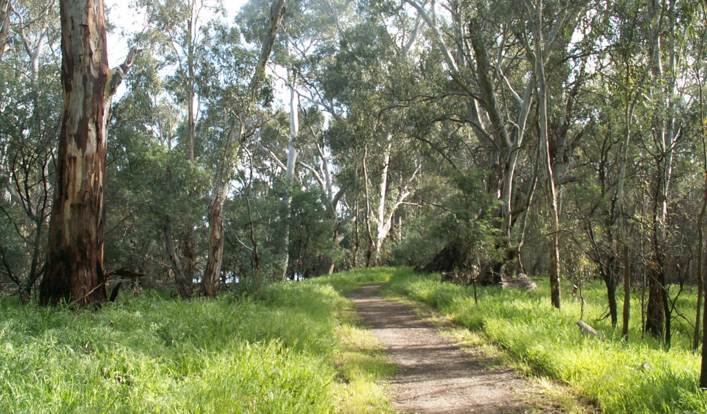 Riverside walk, Murray Valley Regional Park. Photo: Gavin Hansford &copy; DPE