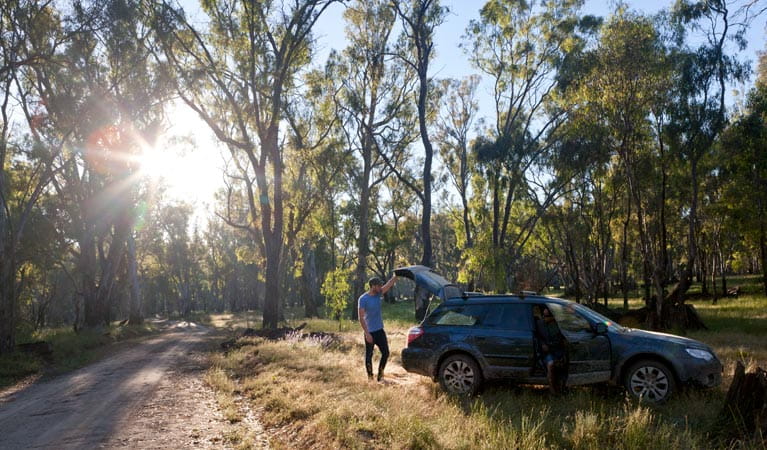 Car Touring, Murrumbidgee Valley National Park. Photo: David Finnegan/NSW Government