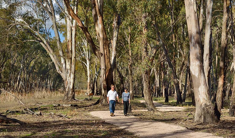 McCaugheys Lagoon, Murrumbidgee Valley National Park. Photo: Gavin Hansford &copy; OEH