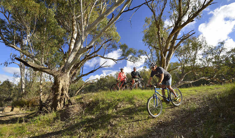 A group of 3 cyclists riding along the Murrumbidgee River's banks. Photo: Gavin Hansford/OEH.