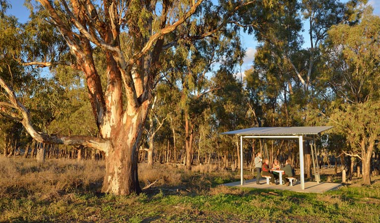 Turkey Flat picnic area and bird hide, Murrumbidgee Valley National Park. Photo: Gavin Hansford &copy; OEH