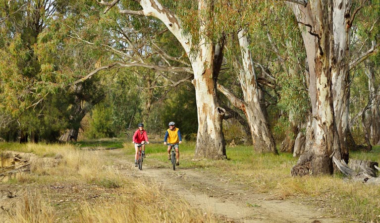 Turkey Flat trail, Murrumbidgee Valley National Park. Photo: Gavin Hansford