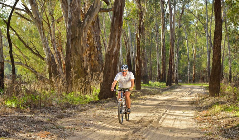 Turkey Flat trail, Murrumbidgee Valley National Park. Photo: Gavin Hansford