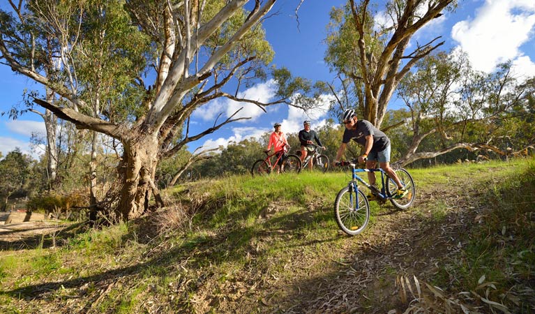 Turkey Flat trail, Murrumbidgee Valley National Park. Photo: Gavin Hansford