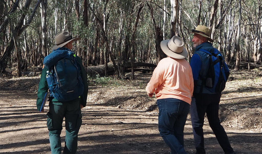 People strolling along the Koala walking track in Murrumbidgee Valley Nature Reserve. Photo: Laura MacGillivray-Reeves &copy; DCCEEW 