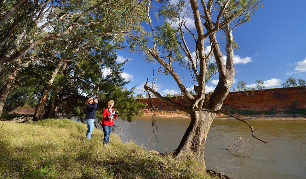 People bird watching on Koala walking track on Murrumbidgee River, Murrumbidgee Valley Nature Reserve. Photo: Gavin Hansford &copy; DCCEEW