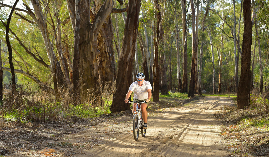 Man bike riding in Murrumbidgee Valley Regional Park. Credit: Gavin Hansford &copy; DPE 