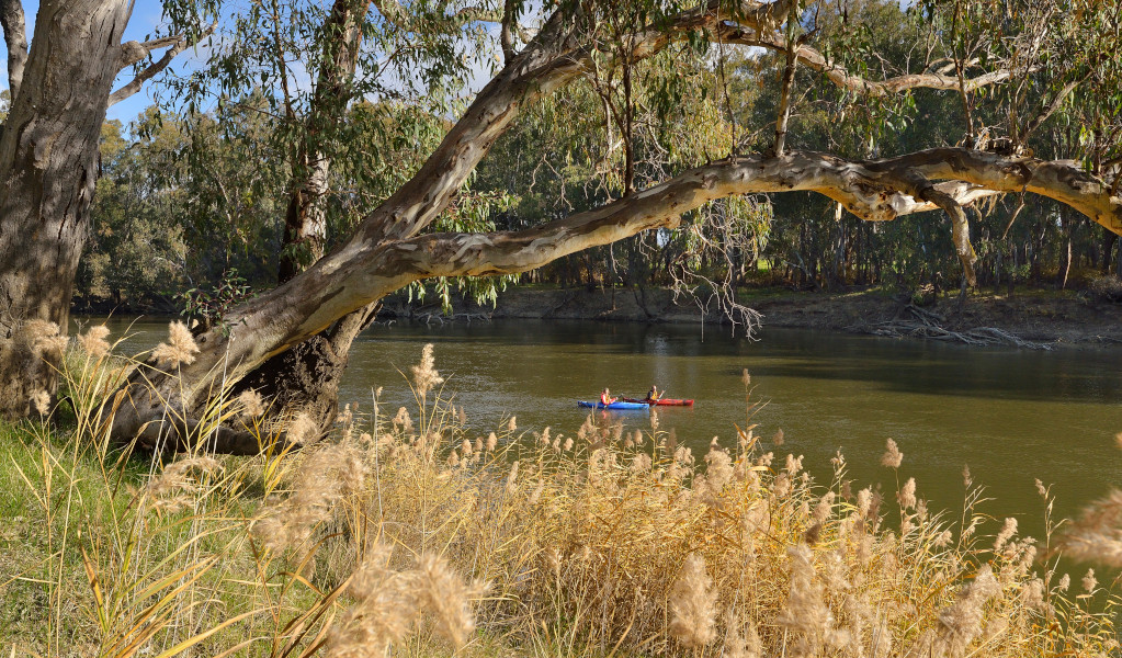 2 people kayaking on the Murrumbidgee River. Credit: Gavin Hansford &copy; DPE 