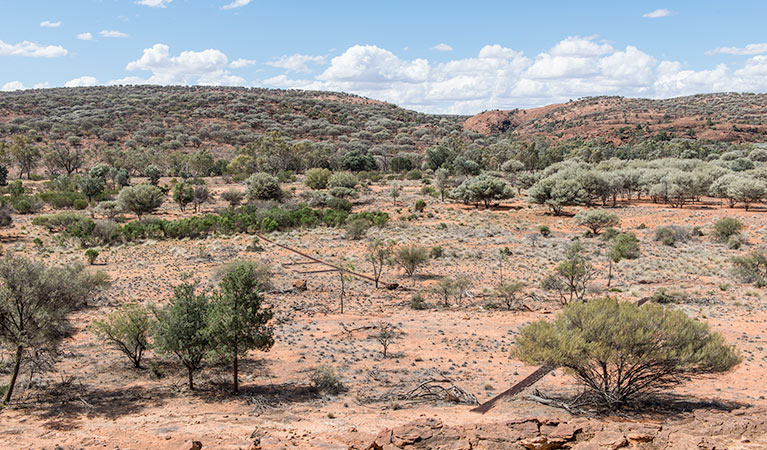 Mutawintji Historic Site. Photo: John Spencer &copy; DPIE