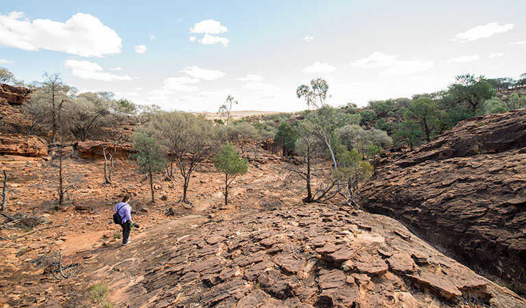 Mutawintji Historic Site. Photo: John Spencer &copy; DPIE