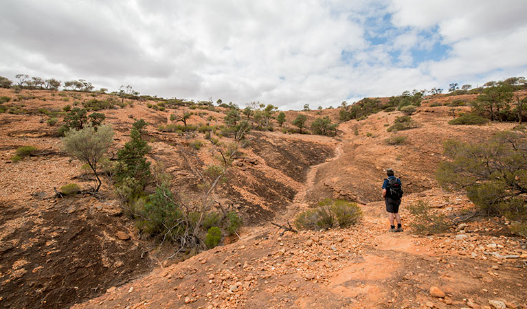 Bynguano Range walk, Mutawintji National Park. Photo: John Spencer