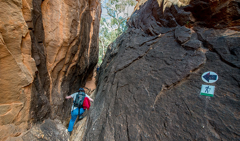 Bynguano Range walk, Mutawintji National Park. Photo: John Spencer