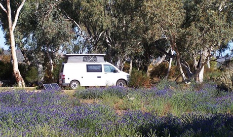 Homestead Creek Campground, Mutawintji Historic Site. Photo: Dinitee Haskard, OEH