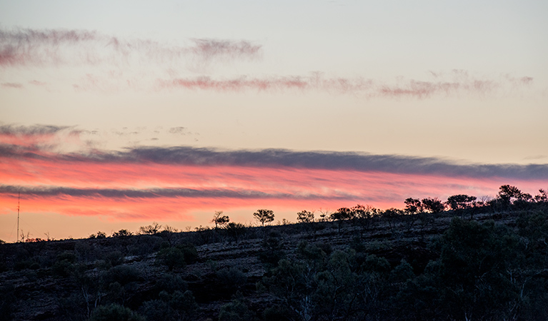 Homestead Creek picnic area, Mutawintji National Park. Photo: John Spencer