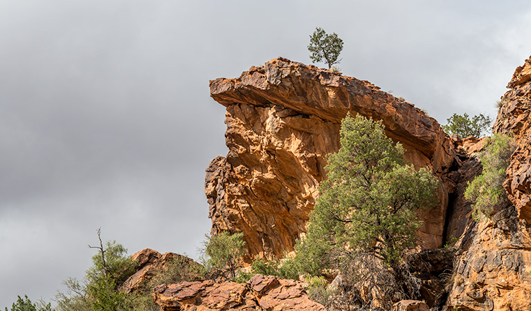 Large rocks along Homestead Gorge walking track in Mutawintji National Park. Photo: John Spencer