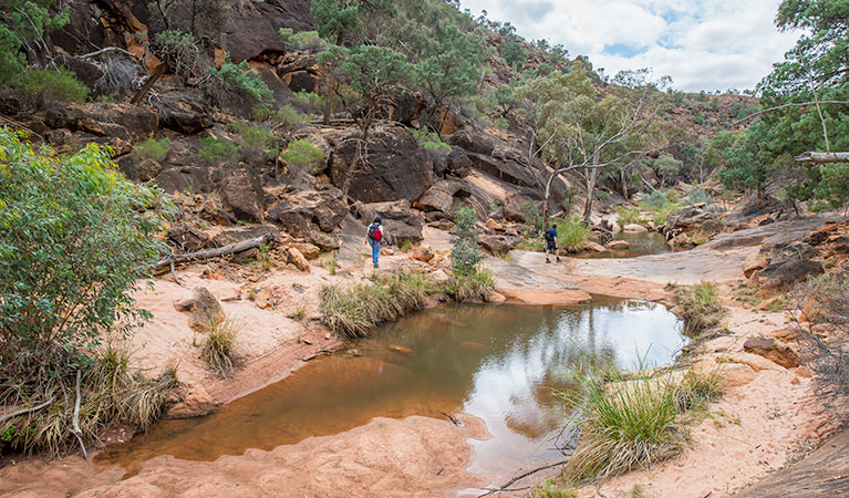 People walking along rockholes on Homestead Gorge walking track in Mutawintji National Park. Photo: John Spencer/OEH