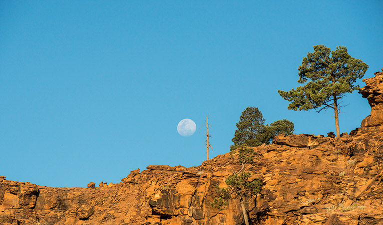 A full moon in a blue sky behind rocky cliffs along Mutawintji Gorge walking track, Mutawintji National Park. Photo: John Spencer