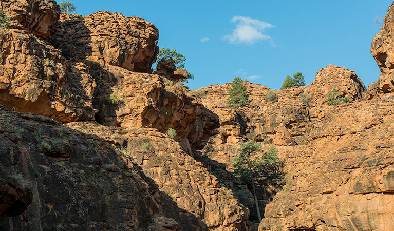 Rocky cliffs set against blue sky along Mutawintji Gorge walking track, Mutawintji National Park. Photo: John Spencer