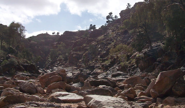 The rocky landscape along Mutawintji Gorge walking track in Mutawintji National Park. Photo: Dinitee Haskard