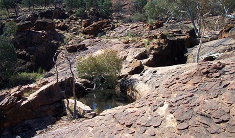 Mutawintji Historic Site. Photo: Dinitee Haskard