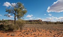 Old Coach Road drive, Mutawintji National Park. Photo: John Spencer