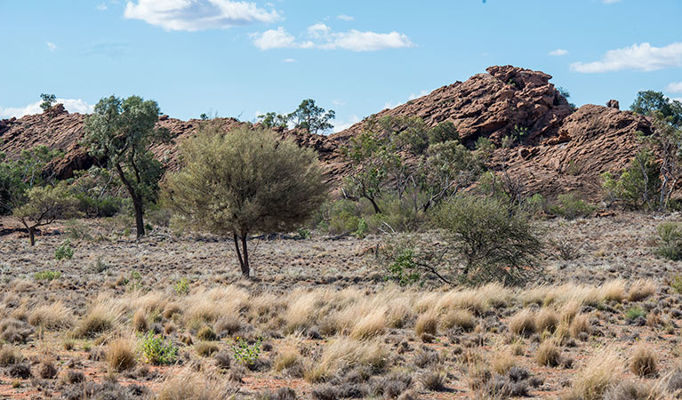 Old Coach Road drive, Mutawintji National Park. Photo: John Spencer