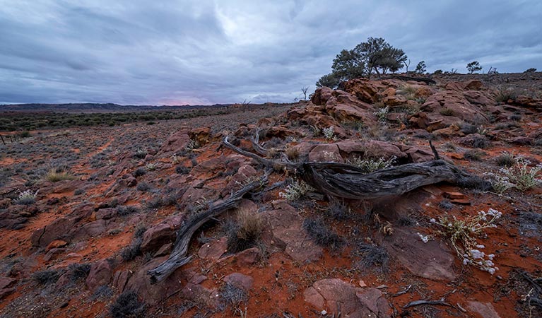 Mutawintji National Park rocky landscape at sunset. Photo: John Spencer/OEH