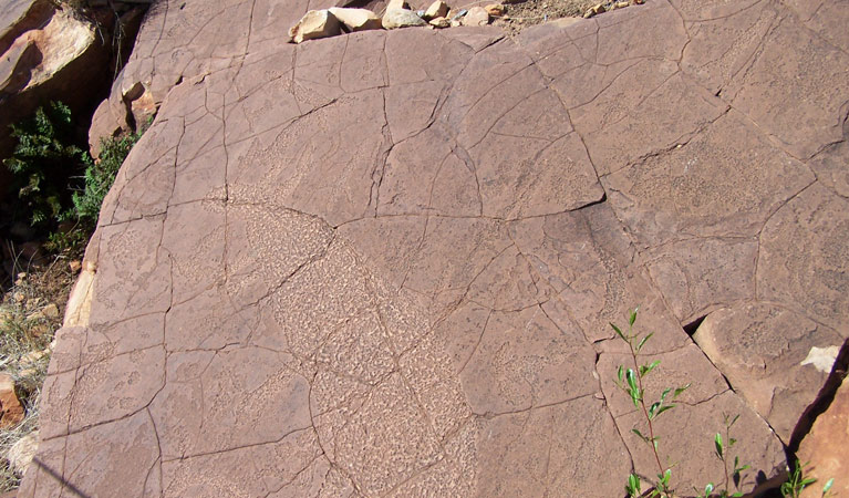 Thaaklatjika Mingkana Walking Track, Mutawintji National Park. Photo: Dinitee Haskard