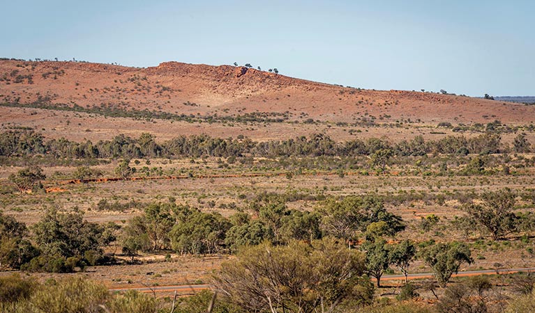 Desert plains views along Western Ridge walking track in Mutawintji National Park. Photo: John Spencer &copy; OEH