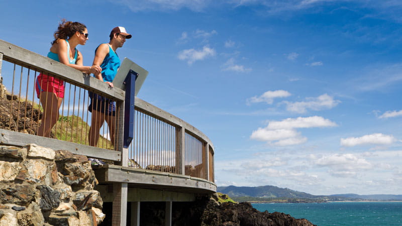 People at a lookout in Muttonbird Island Nature Reserve. Photo: Rob Cleary