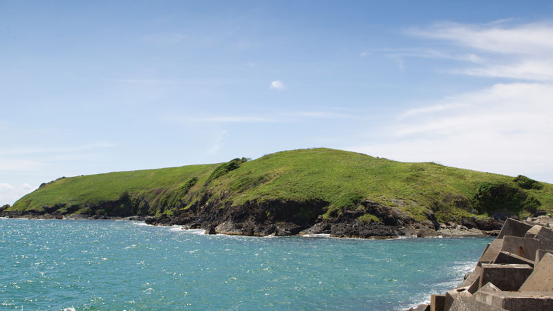 Muttonbird Island view. Photo &copy; Rob Cleary