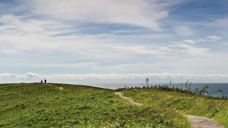 Walking track, Muttonbird Island Nature Reserve. Photo &copy; Rob Cleary