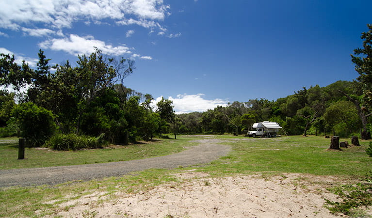 Banksia Green campground, Myall Lakes National Park. Photo: John Spencer/NSW Government