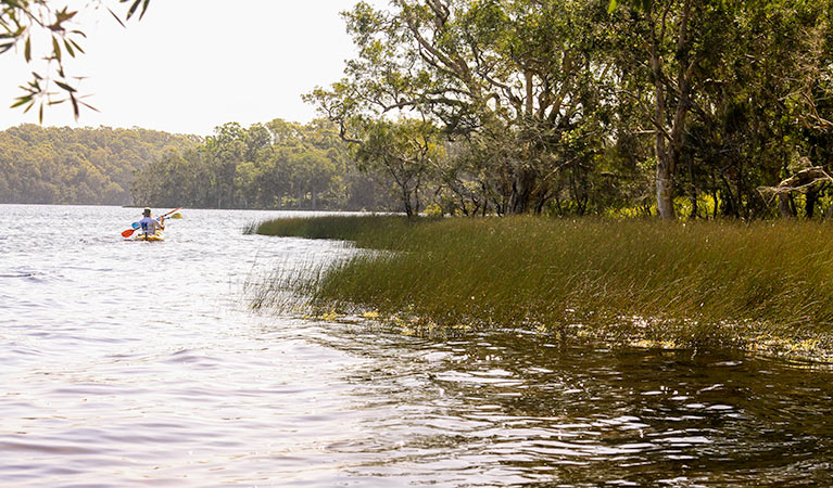 Black Oaks picnic area, Myall Lakes National Park. Photo: John Spencer/NSW Government