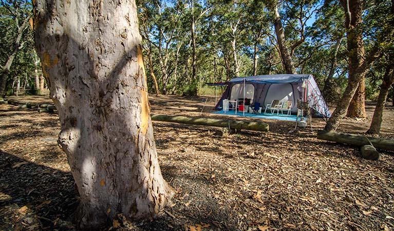 Boomeri campground, Myall Lakes National Park. Photo: John Spencer/NSW Government