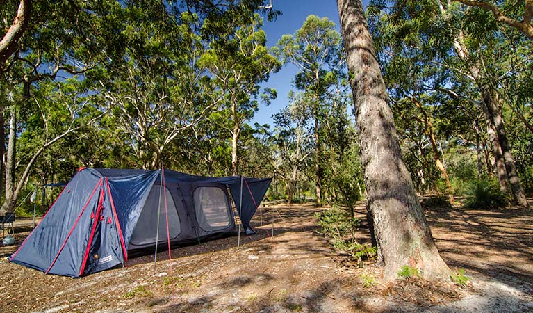 Boomeri campground, Myall Lakes National Park. Photo: John Spencer/NSW Government