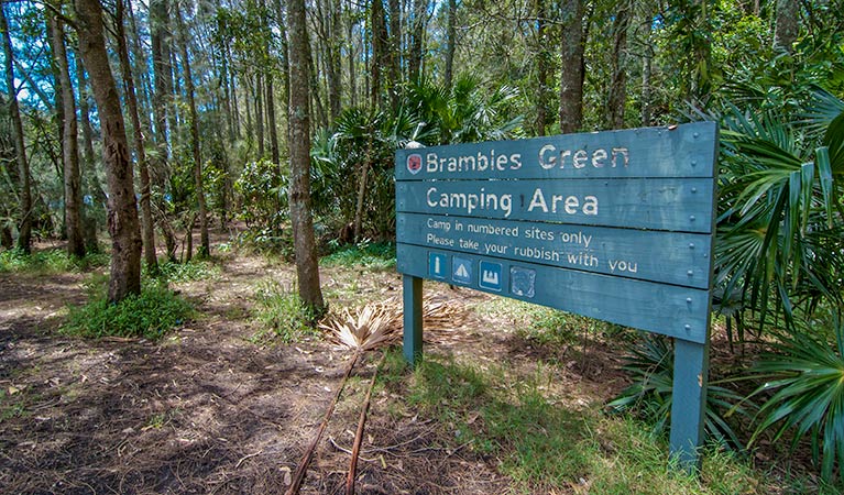 Brambles Green Campground, Myall Lakes National Park. Photo: John Spencer/DPIE