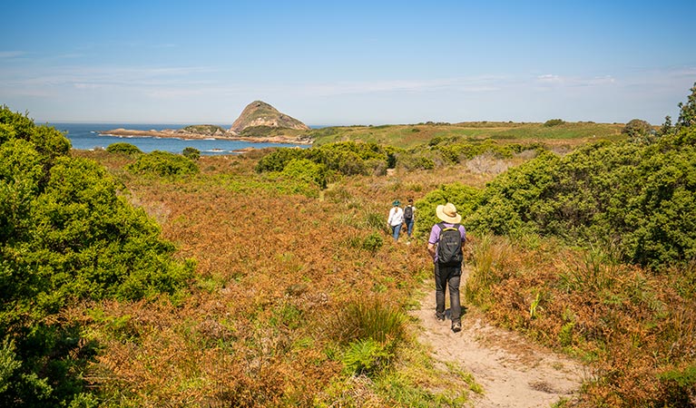 Bushwalkers on a sandy track through heath and bushland, with views of the coastline and headland in the background. John Spencer &copy; DPIE